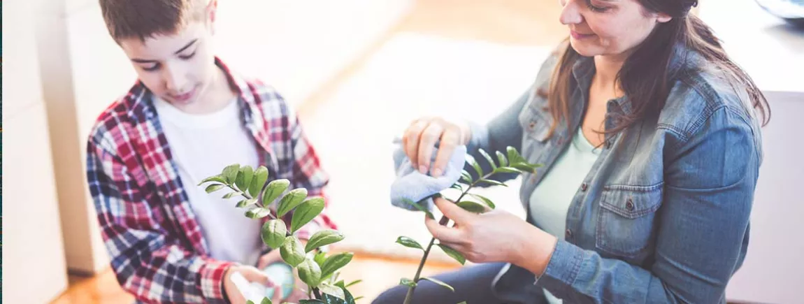 Une mère et son fils entretiennent une plante.