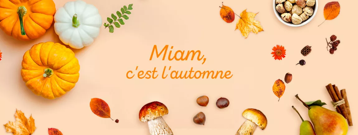 Recueil de recettes automnales pour privilégier les produits de saison et les circuits courts !