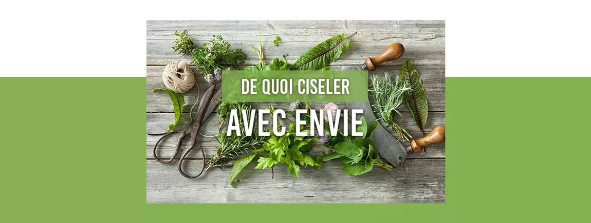 Composition d’herbes fines et outils de