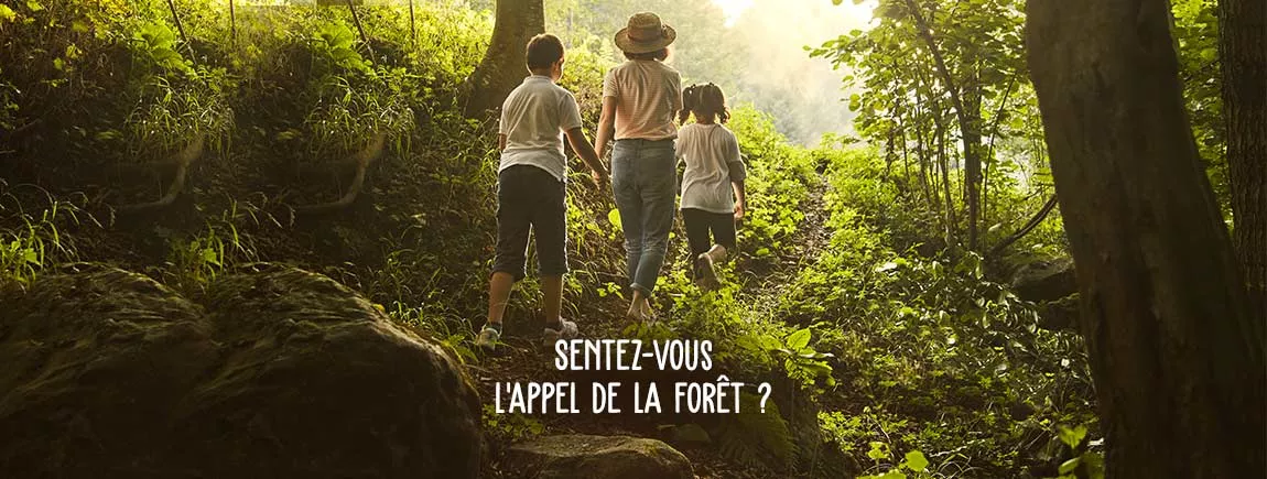 La forêt nous inspire : loisirs, déco...