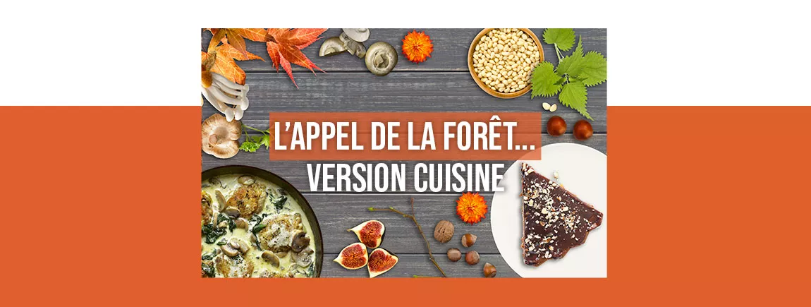Cuisinez la forêt !