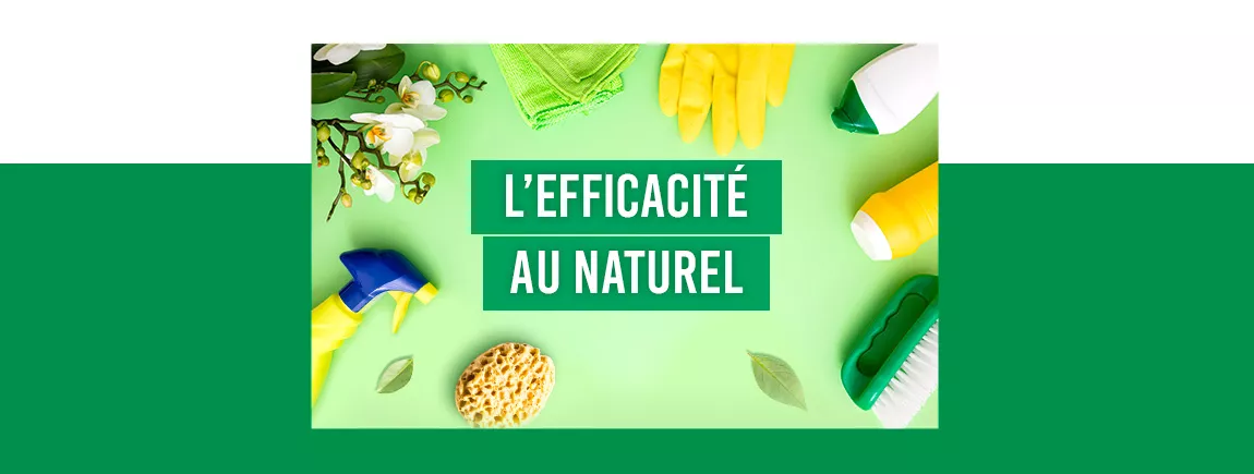 Des produits de nettoyage, des branches et des feuilles 