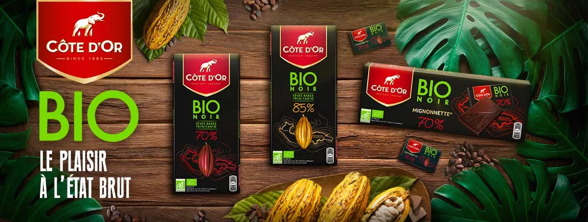 Des tablettes de chocolat bio sur une table dans la jungle.