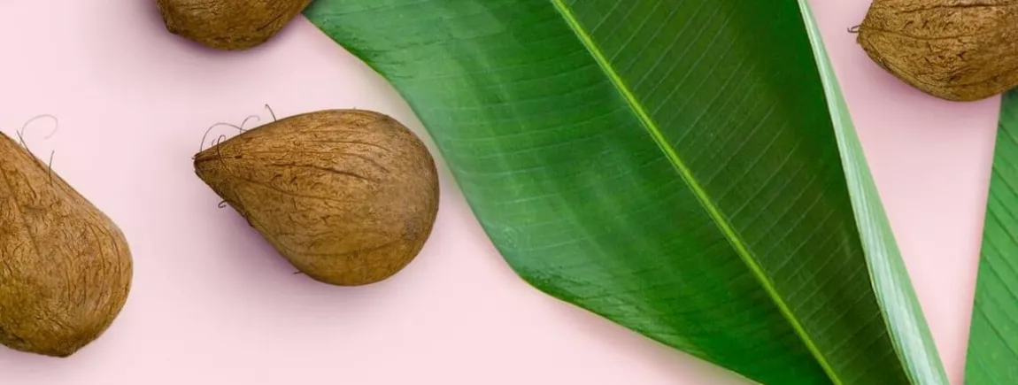 Comment éviter le plastique dans la cuisine ? Nature avec Love Beauty and Planet