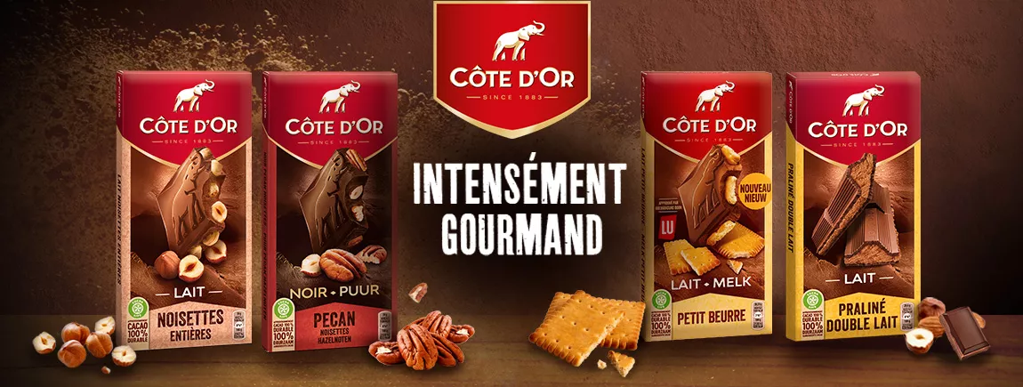 Des tablettes de chocolat et des ingrédients sur un fond intense de chocolat