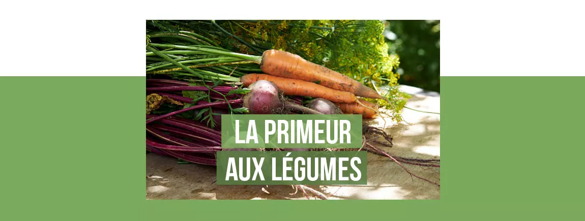 Recettes à base de légumes