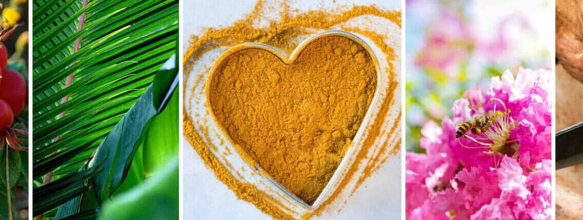 Formules d’origine naturelle, conçues avec amour Ingredients love beauty and planet
