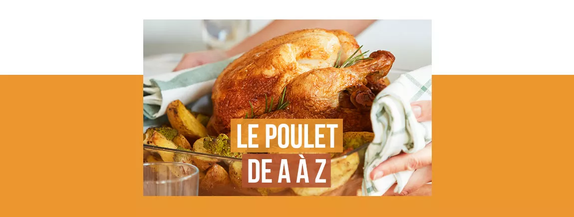 Recettes à base de poulet 