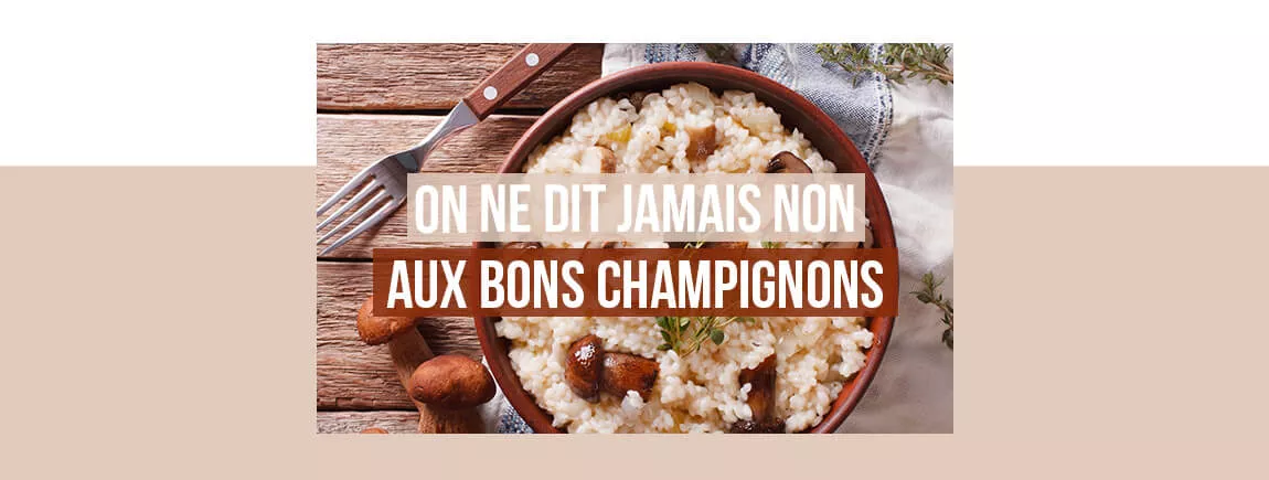 Nos délicieuses recettes aux champignons