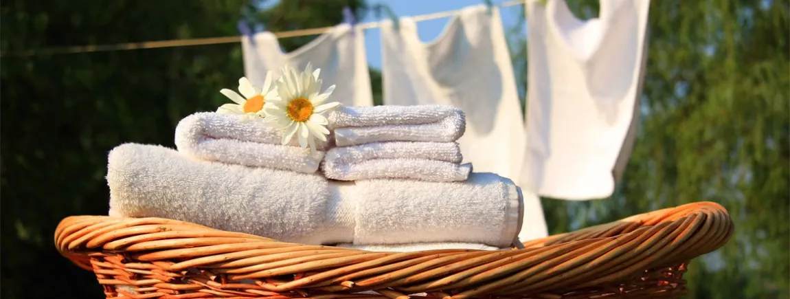 Des serviettes de bain blanches comme au premier jour Du linge blanc séchant dans un jardin