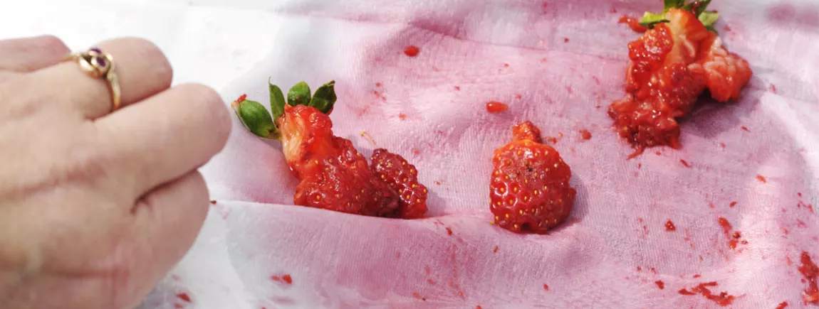 Comment enlever les taches de fruits rouges ? Nettoyer tache de fruits rouges vêtements tissus