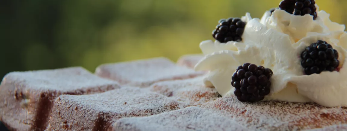 Gâteau yahourt pommes et mûres