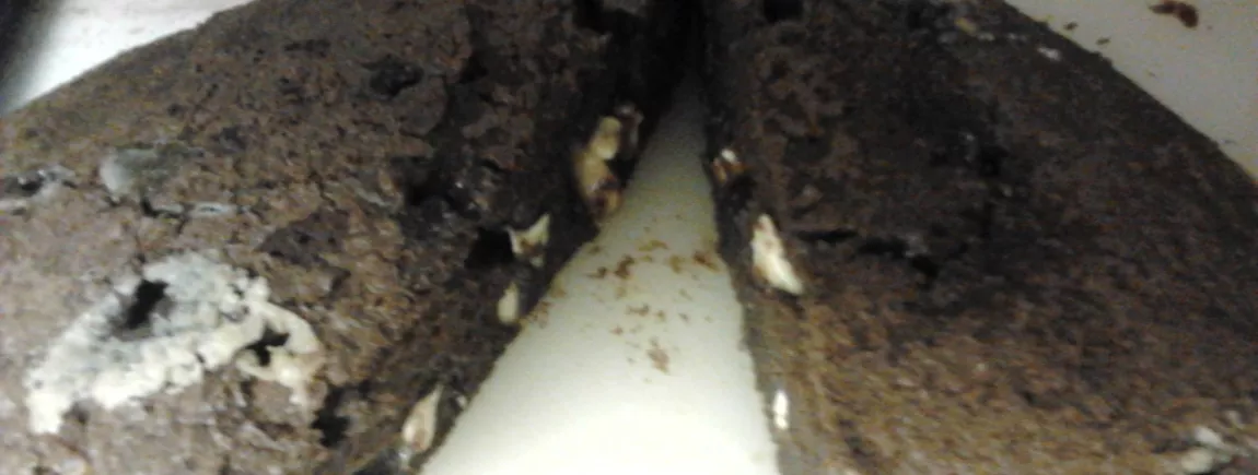 brownie 2 choco