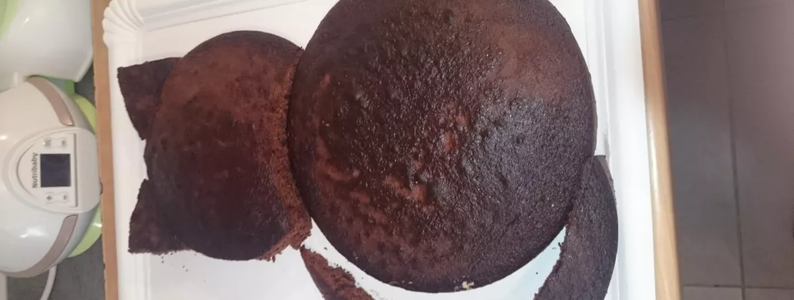 Gâteau rapide chocolat coco