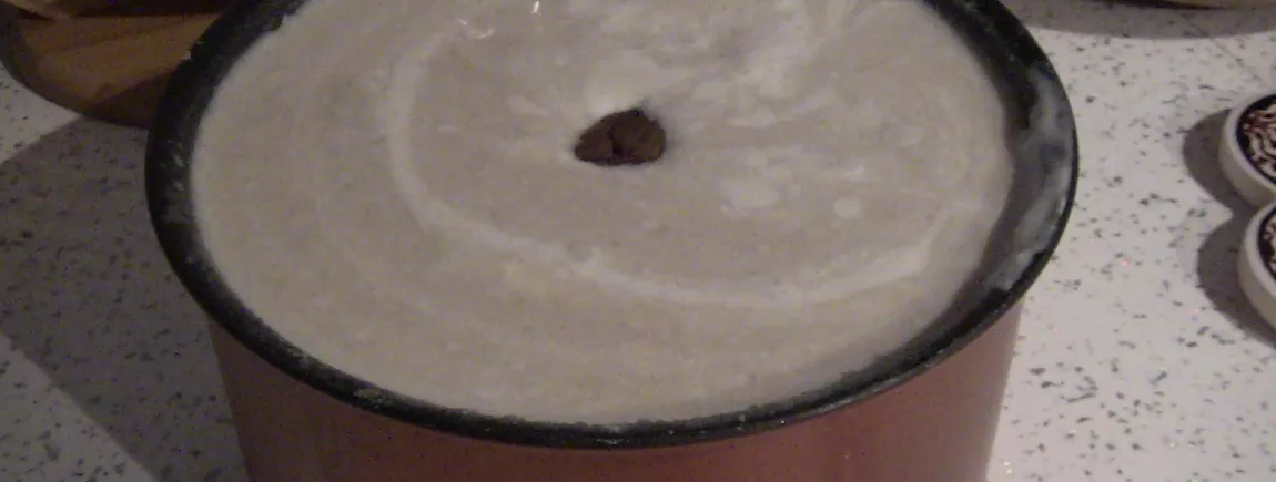 Velouté de chataignes Velouté de chataignes