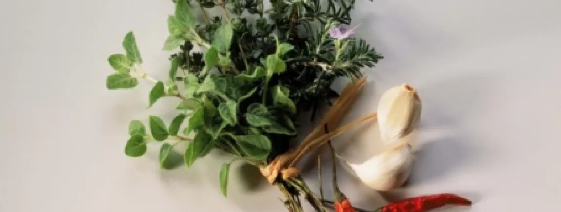 Herbes et plantes aromatiques : mettez-vous au parfum !