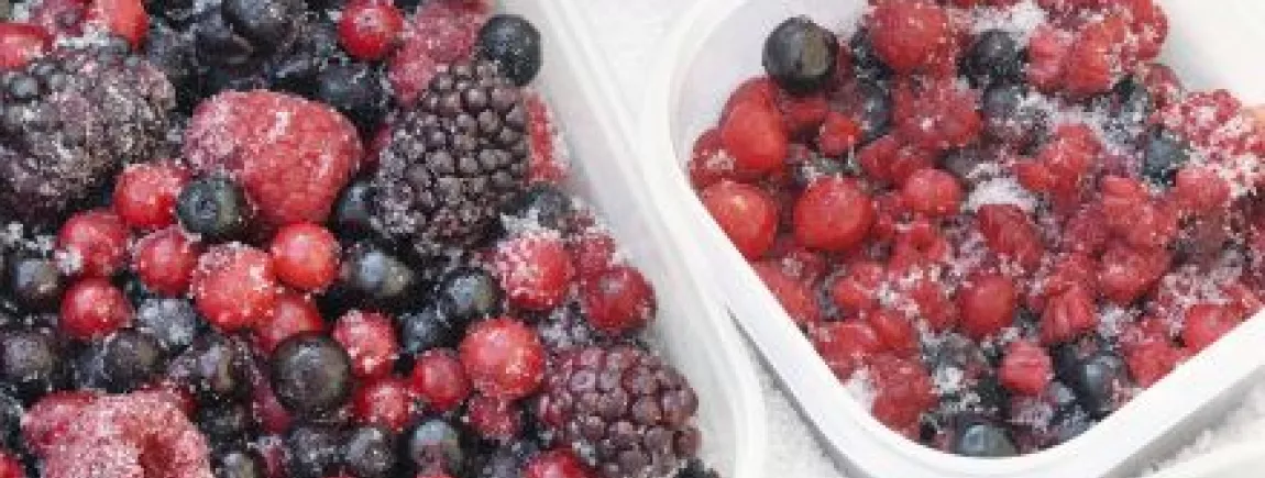 Les 7 règles du bien congeler Les 7 règles du bien congeler