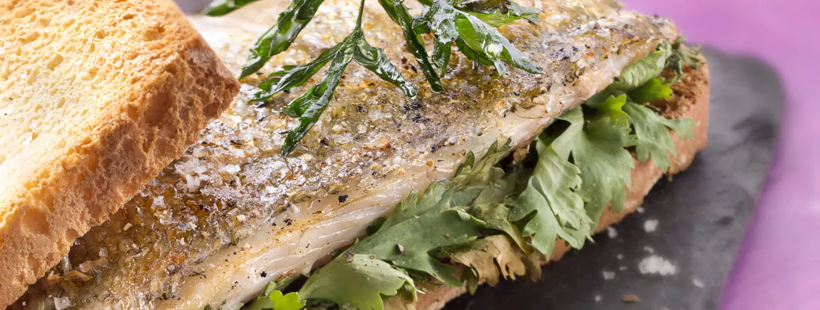 Tartines de Filet de daurade à la coriandre fraîche avec Pelletier® Tartines de Filet de daurade à la coriandre fraîche avec Pelletier®