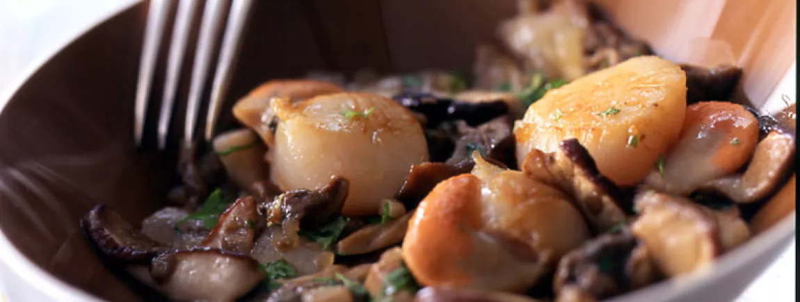 Coquilles Saint-Jacques au beurre d'escargot Coquilles Saint-Jacques au beurre d'escargot