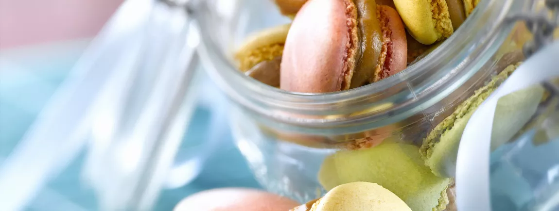 Macarons colorés à la crème au chocolat praliné Macarons colorés à la crème Pralinoise Poulain Dessert®