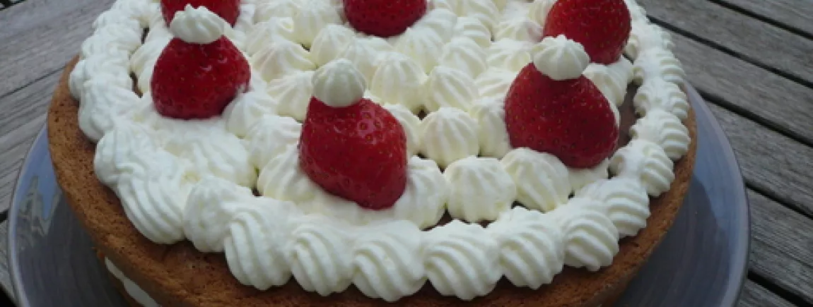 Fraisier rapide Fraisier rapide