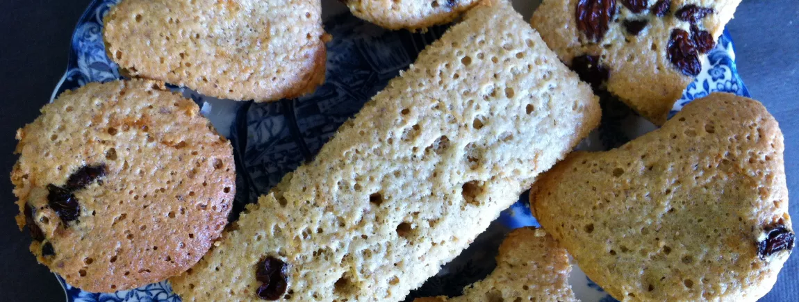 PETITS GATEAUX ALSA® SAVEUR D'ANTAN AVEC RAISINS & FLEURS D'ORANGER