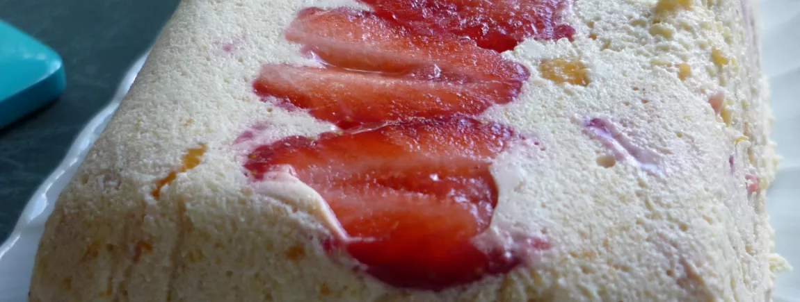 TERRINE FRAISES ET MANGUES TERRINE FRAISES ET MANGUES