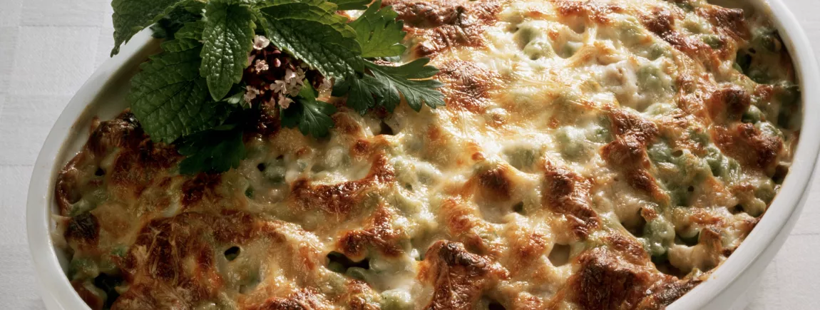 Gratin provençal Gratin provençal